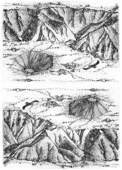 Bild Berg - Krater von Uli Aschenborn